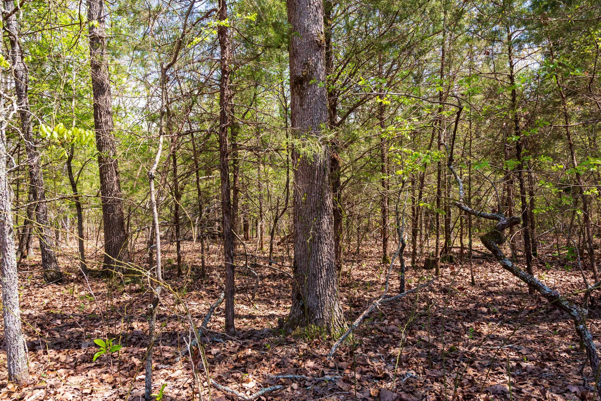 Tract 6 at Autumnwood in Fulton County, Arkansas