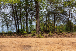 property photo for Autumnwood Tract 7, 7.46 acres for sale in Fulton County, Arkansas