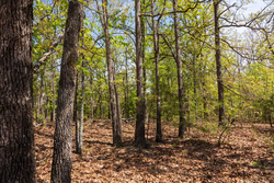 property photo for Autumnwood Tract 7, 7.46 acres for sale in Fulton County, Arkansas