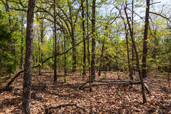 property photo for Autumnwood Tract 7, 7.46 acres for sale in Fulton County, Arkansas