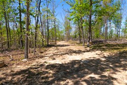 property photo for Lazybrook Tract 13, 6.56 acres for sale in Fulton County, Arkansas