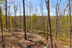 property photo for Lazybrook Tract 13, 6.56 acres for sale in Fulton County, Arkansas