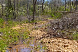 property photo for Lazybrook Tract 19, 6.44 acres for sale in Fulton County, Arkansas
