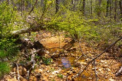 property photo for Lazybrook Tract 19, 6.44 acres for sale in Fulton County, Arkansas