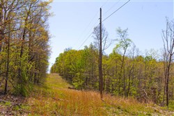 property photo for Lazybrook Tract 2, 6.45 acres for sale in Fulton County, Arkansas