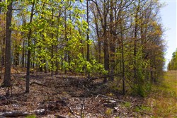 property photo for Lazybrook Tract 2, 6.45 acres for sale in Fulton County, Arkansas