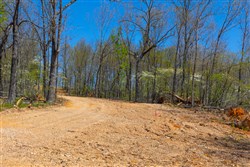 property photo for Lazybrook Tract 20, 6.15 acres for sale in Fulton County, Arkansas