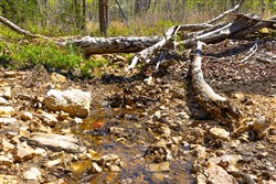 property photo for Lazybrook Tract 20, 6.15 acres for sale in Fulton County, Arkansas