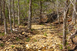property photo for Lazybrook Tract 20, 6.15 acres for sale in Fulton County, Arkansas