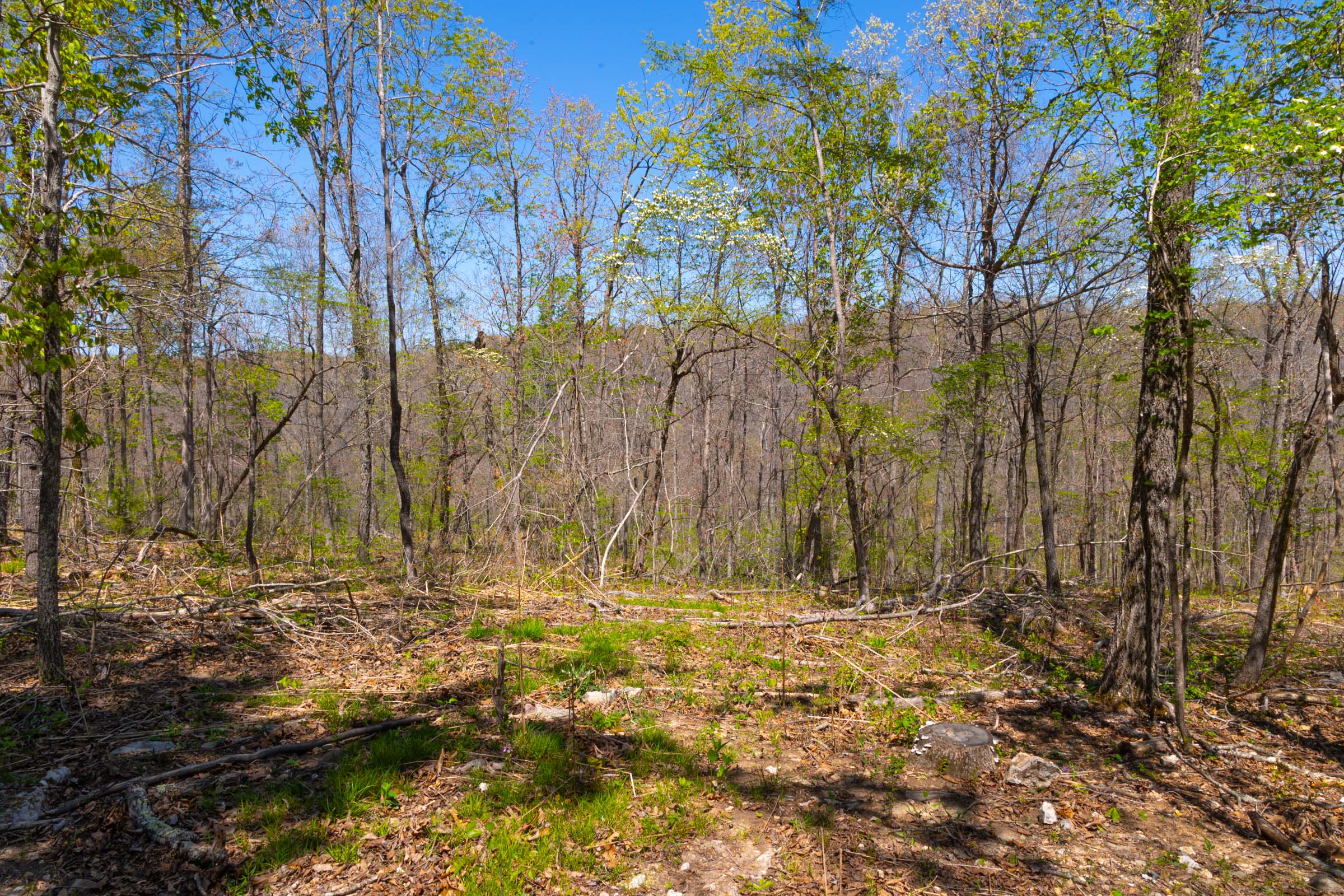 Tract 8 at Lazybrook in Fulton County, Arkansas