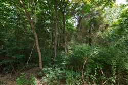 property photo for Springlake Plat 6 Tract 57, 0.19 acres for sale in Miller County, Missouri